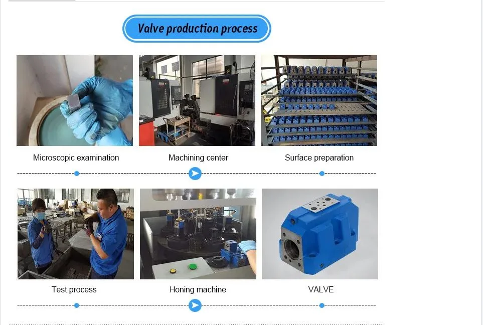 Check Valve Solenoid Reversing Valve Z2frm6bb2-Zx 100% Brand New Shida Hydraulic Valves